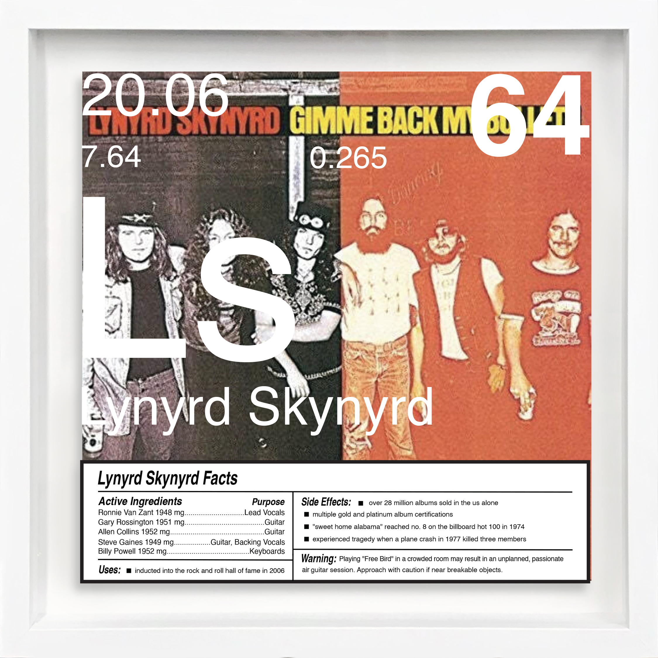 Lynyrd Skynyrd artwork